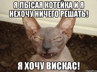 я лысая котейка и я нехочу ничего решать! я хочу вискас!