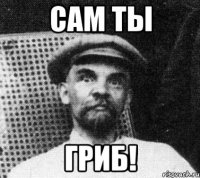 сам ты гриб!