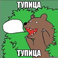 тупица тупица