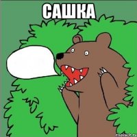 сашка 