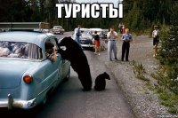 туристы 