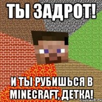 ты задрот! и ты рубишься в minecraft, детка!