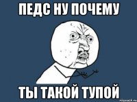 педс ну почему ты такой тупой