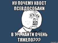 ну почему хвост псевдособаки в т.ч. найти очень тяжело???