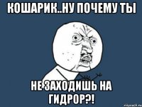 кошарик..ну почему ты не заходишь на гидрор?!