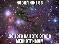 носил nike sb до того как это стало мейнстримом