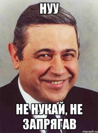 нуу не нукай, не запрягав