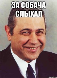 за собача слыхал 