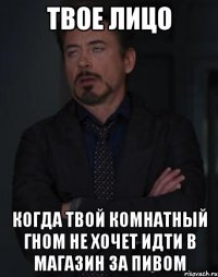 твое лицо когда твой комнатный гном не хочет идти в магазин за пивом