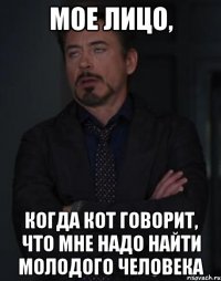 мое лицо, когда кот говорит, что мне надо найти молодого человека