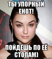 ты упорный енот! пойдёшь по её стопам)