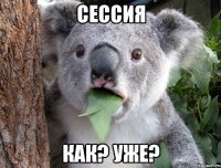 сессия как? уже?