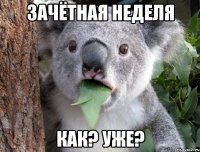 зачётная неделя как? уже?