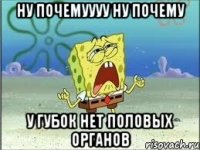 ну почемуууу ну почему у губок нет половых органов