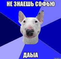 не знаешь софью даыа