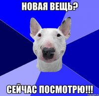 новая вещь? сейчас посмотрю!!!