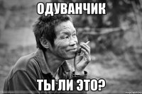 одуванчик ты ли это?