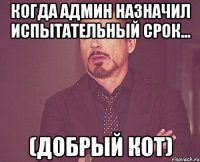 когда админ назначил испытательный срок... (добрый кот)