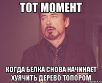 тот момент когда белка снова начинает хуячить дерево топором