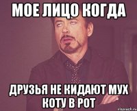 мое лицо когда друзья не кидают мух коту в рот