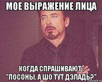 мое выражение лица когда спрашивают : "посоны, а шо тут дэладь?"