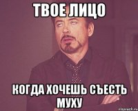 твое лицо когда хочешь съесть муху