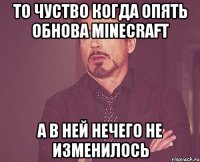 то чуство когда опять обнова minecraft а в ней нечего не изменилось