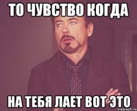 то чувство когда на тебя лает вот это