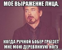 моё выражение лица, когда ручной бобер грызет мне мою деревянную ногу