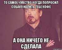 то самое чувство когда попросил собаку налить тебе кофе а она ничего не сделала