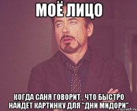 моё лицо когда саня говорит , что быстро найдёт картинку для "дни мидори"