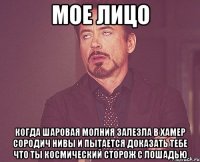 мое лицо когда шаровая молния залезла в хамер сородич нивы и пытается доказать тебе что ты космический сторож с лошадью