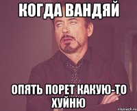 когда вандяй опять порет какую-то хуйню