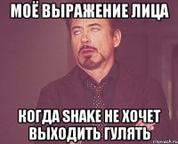 моё выражение лица когда shake не хочет выходить гулять