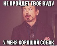 не пройдет твое вуду у меня хороший собак