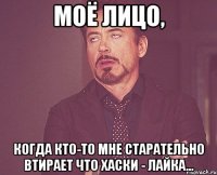 моё лицо, когда кто-то мне старательно втирает что хаски - лайка...