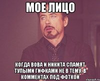 мое лицо когда вова и никита спамят тупыми гифками не в тему, в комментах под фоткой