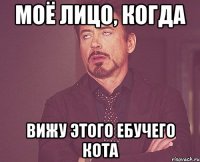 моё лицо, когда вижу этого ебучего кота