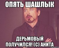 опять шашлык дерьмовый получился! (с) анита