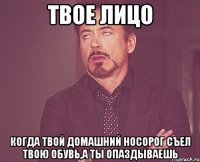 твое лицо когда твой домашний носорог съел твою обувь,а ты опаздываешь