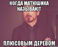 когда матюшика называют плюсовым деревом