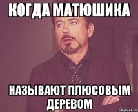 когда матюшика называют плюсовым деревом