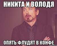 никита и володя опять флудят в конфе