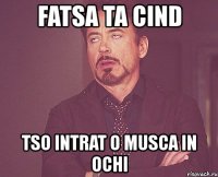 fatsa ta cind tso intrat o musca in ochi