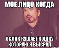 мое лицо когда ослик кушает кошку которую я высрал