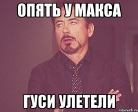 опять у макса гуси улетели