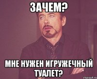 зачем? мне нужен игружечный туалет?