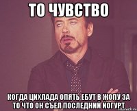 то чувство когда цихлада опять ебут в жопу за то что он съел последний йогурт