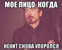 мое лицо, когда некит снова упоролся