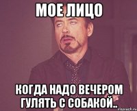 мое лицо когда надо вечером гулять с собакой..